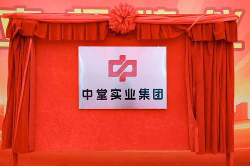 高質(zhì)量發(fā)展新征程 中堂實業(yè)集團揭牌成立，百墩實業(yè)開啟新篇章