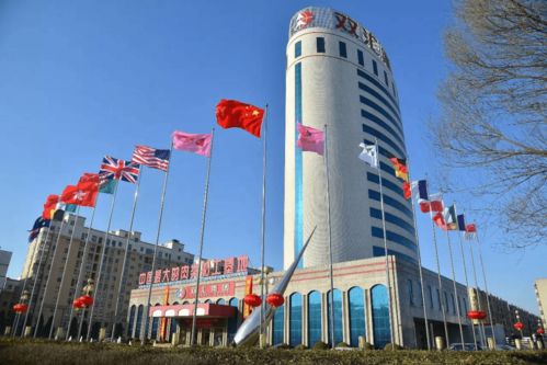 河南民企新標(biāo)桿 百墩實(shí)業(yè)總資產(chǎn)突破1200億元，力壓雙匯中瑞登頂